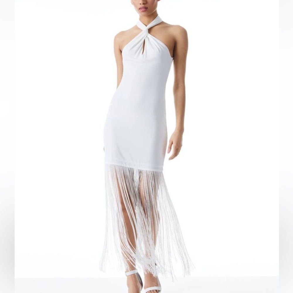New Alice and Olivia Steph fringe dress